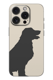 Skin iPhone - SÓL & PIEPRZ